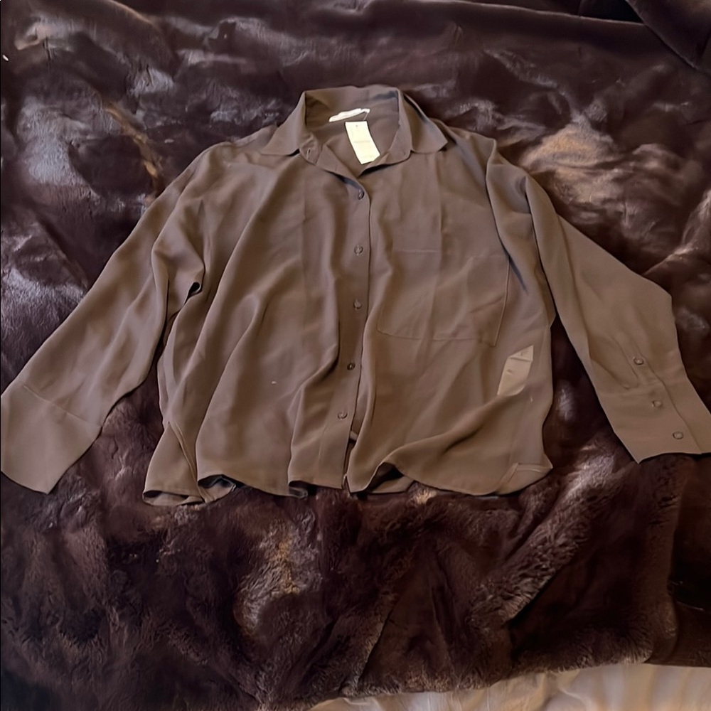 A&F See-Through Brown Button Down Shirt
